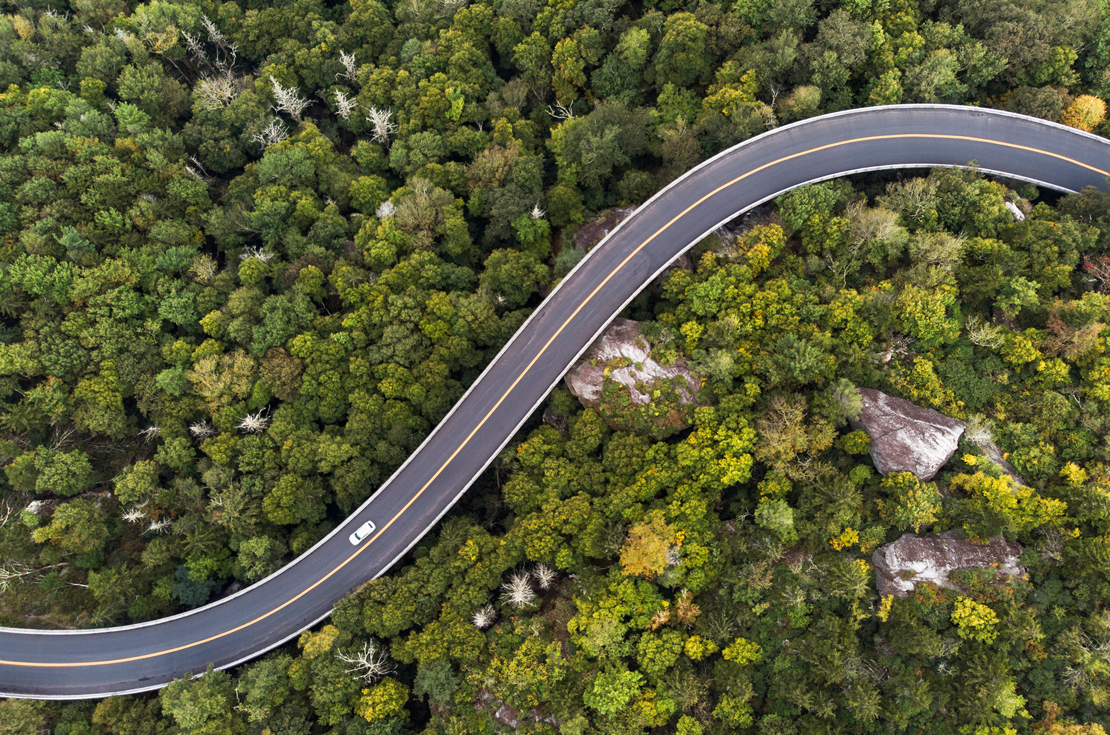 Curvy road with trees